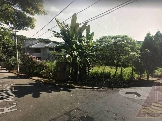 #206 - Terreno para Venda em Santos - SP - 3